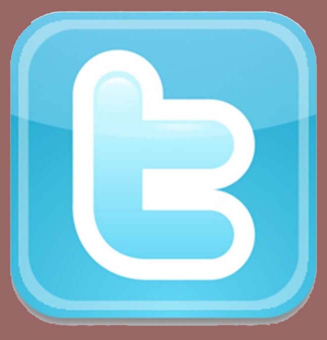 twitter logo link
